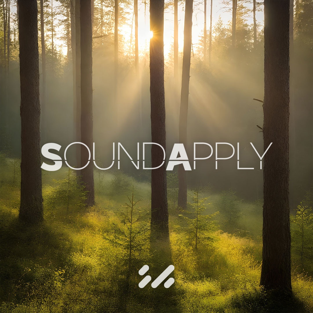 NEW BIRD SONG